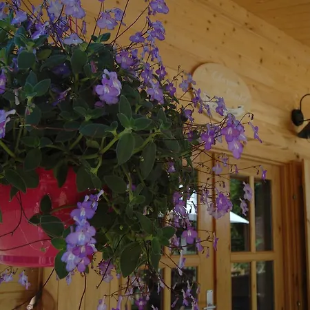Le Charme Du Chalet *